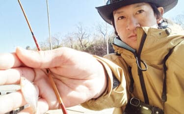 『道満ヘラ鮒釣場』のタナゴ釣りで本命307尾と大釣り！【埼玉】クチボソ混じりで連発