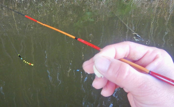 『道満ヘラ鮒釣場』のタナゴ釣りで本命307尾と大釣り！【埼玉】クチボソ混じりで連発