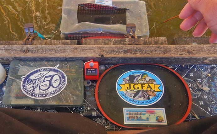 『道満ヘラ鮒釣場』のタナゴ釣りで本命307尾と大釣り！【埼玉】クチボソ混じりで連発