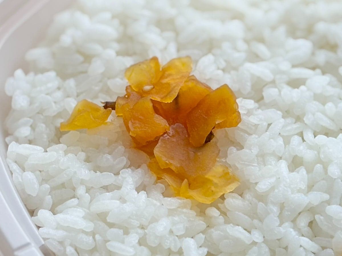 あのめちゃうま弁当が今だけ101円お得に！【ファミマ】に急げ～！！