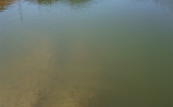 ルアーでアメリカナマズを狙ってみた【京都】自作ルアー不発も定番のバイブレーションでGET