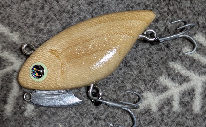 ルアーでアメリカナマズを狙ってみた【京都】自作ルアー不発も定番のバイブレーションでGET