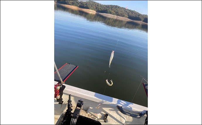 「シーズン序盤から絶好調！」入鹿池でのワカサギ釣りで528匹と豊漁【愛知】