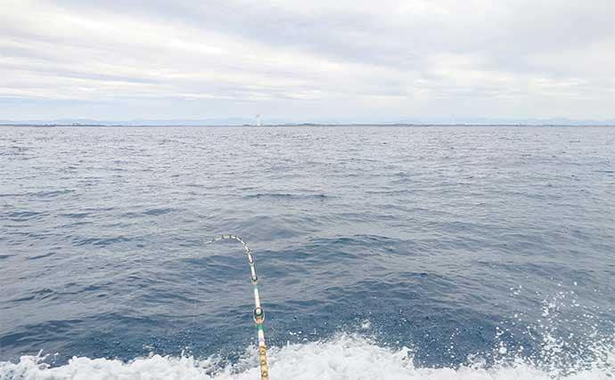 リレー便でタチウオ11匹＆良型アジ15匹を手中【静岡・わし丸】台風明けの海で好スタート