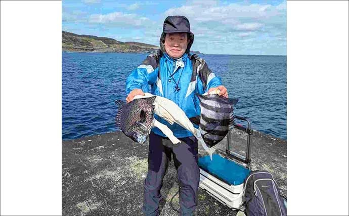 離島の堤防でイシダイ＆イシガキダイを狙う【三宅島】低水温に苦戦も全員安打達成