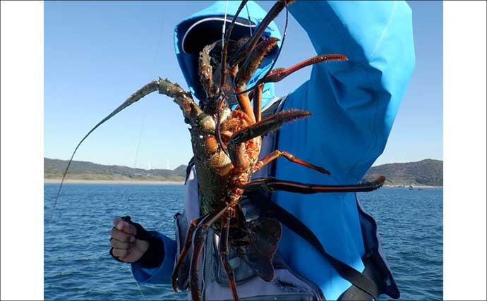 【沖釣り釣果速報】良型クエ登場で船上騒然！イワシ泳がせ釣りで高級食材乱舞（愛知）