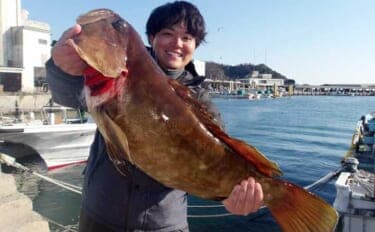 【沖釣り釣果速報】良型クエ登場で船上騒然！イワシ泳がせ釣りで高級食材乱舞（愛知）