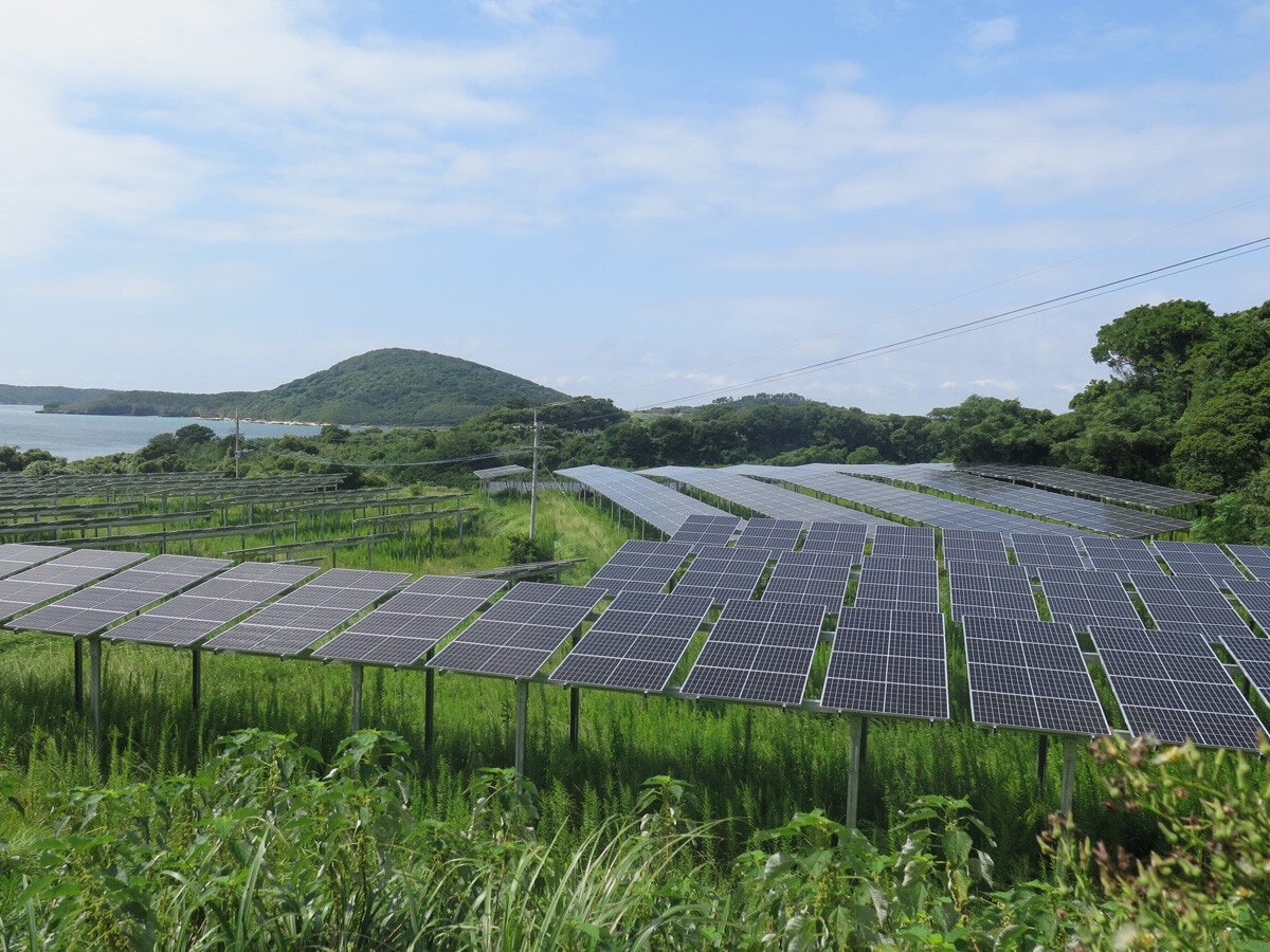 島内の林地や農家が手放した牧草地などへの設置が急ピッチで進む、京セラ製のソーラーパネル。パネルの設置面積は島の10分の1に及ぶ見込みだ