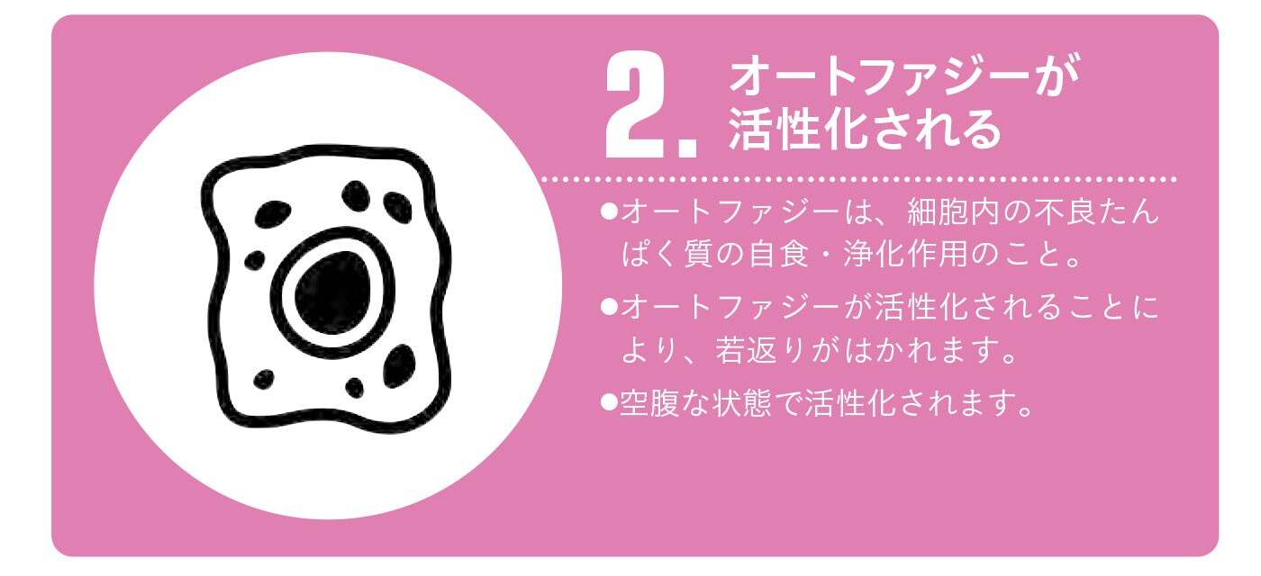 ホルモンや遺伝子にも影響する【1週間で勝手に最強の免疫力がつくすごい方法】