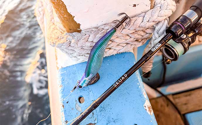 相模湾ティップランエギングで差をつけるコツ　アシストシンカーとロッド使い分け術