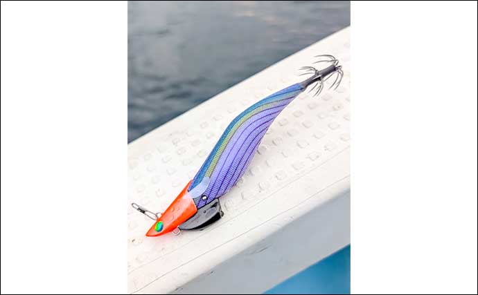 相模湾ティップランエギングで差をつけるコツ　アシストシンカーとロッド使い分け術