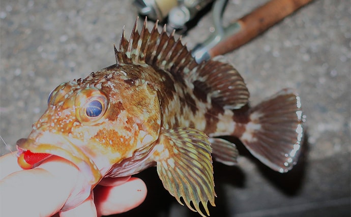 ジグヘッドの根掛かりを減らす方法　【ワームの刺し方・リグの動かし方を解説】