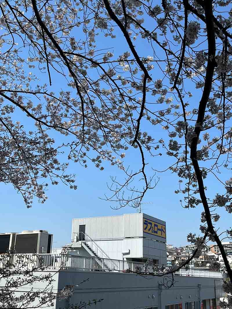 ラフアンドロード本社屋上にて「ラフロ祭」を3/28開催！ 最大70％オフ蔵出しセール＆ゲストオフ会も 記事5