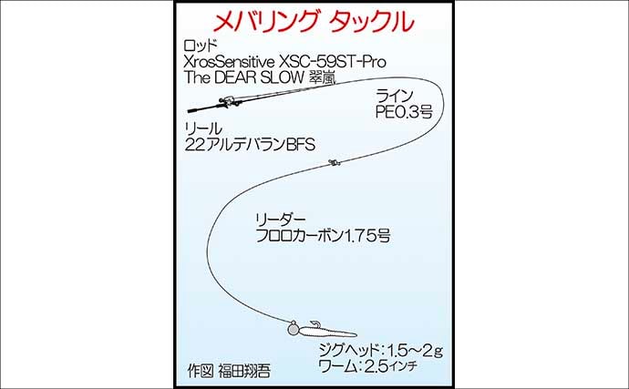 夕マヅメのアジングで27cmマアジ手中！【福岡・新宮町】後半はメバル狙いでアコウがヒット