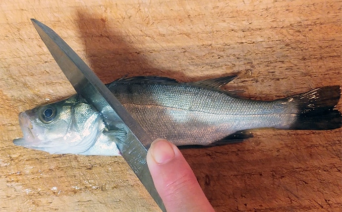 人気釣魚で作る「刺身アレンジ」レシピ:セイゴの柚子ゴショウ和え 小型がオススメ