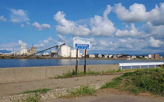 サーフでの投げ釣りで本命キス15匹【新潟・上越】釣れない時は移動が正解?