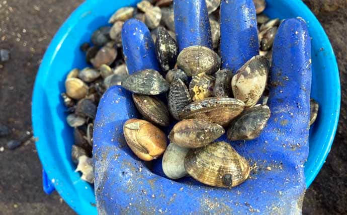 最低気温0度の中でもアサリを続々発見！ 無人島での潮干狩りで6kgと好スタート