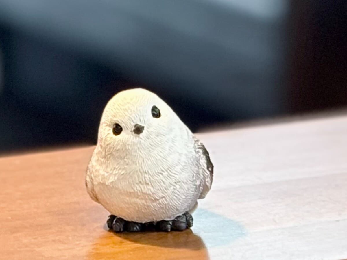【セリア】のシマエナガグッズが大人気♡かわいい新作＆おすすめ10選