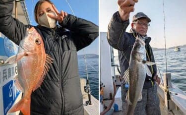 関西エリアの【船釣り特選釣果】タイサビキでマダイ好反応!青物・根魚も各地で上向き