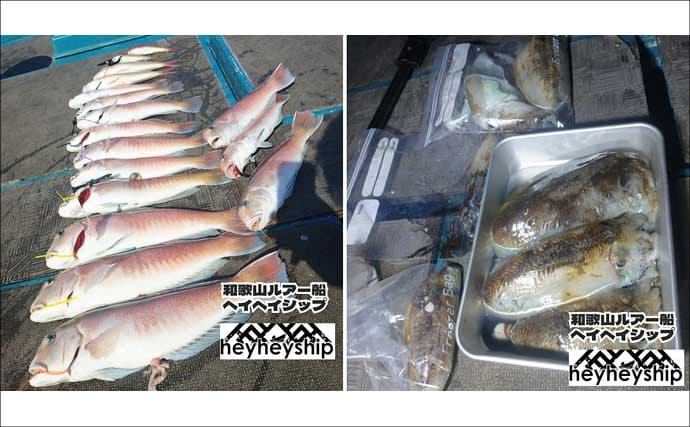 関西エリアの【船釣り特選釣果】タイサビキでマダイ好反応！青物・根魚も各地で上向き