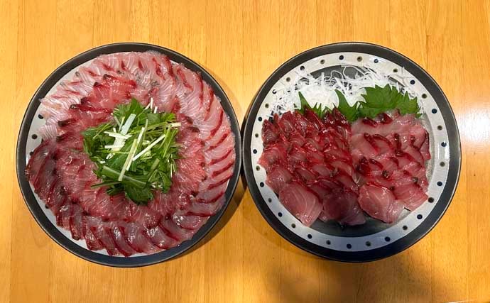 「初めての泳がせ釣りで大型青物ヒット！」80cm4.2kgブリをキャッチ【北九州】