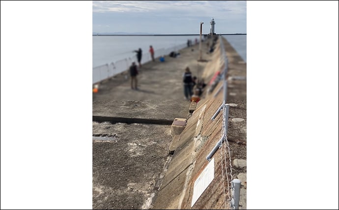 「サゴシ回遊は終盤戦か」大阪南港魚つり園でのショアジギ釣行でなんとかサゴシ1本