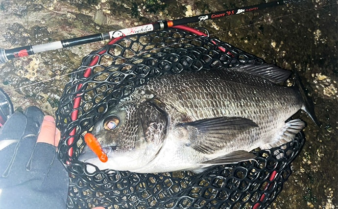 「買う価値あり？なし？」　ちょい高いけど話題の新製品スナップ『Tiスナップ』を使ってみた