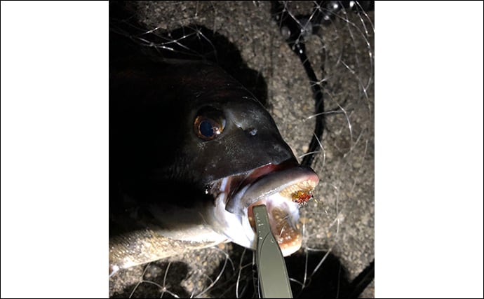 1年を通して陸っぱり釣りを楽しむ方法 【季節ごとのターゲットと真夏＆真冬の過ごし方】