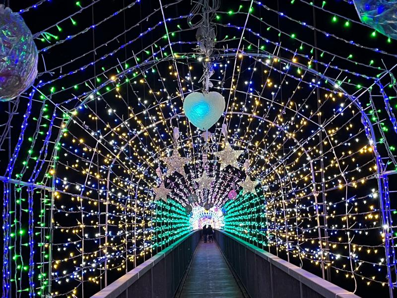 豊かな自然が幻想的な光に包まれる“宮ヶ瀬”イルミネーションイベントにライダーを特別招待！バイク王が、事前募集開始