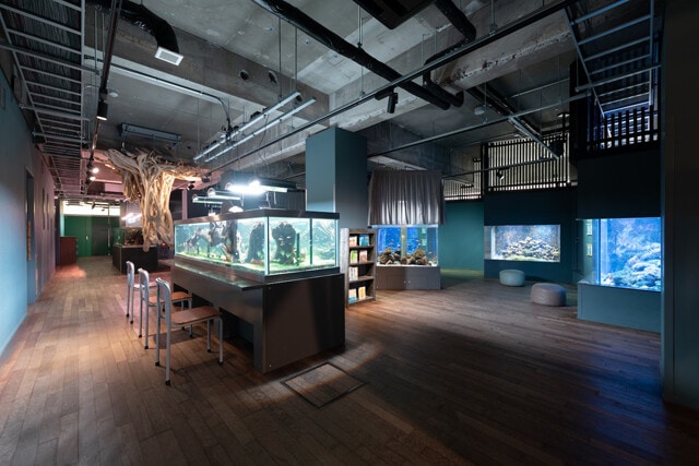 一番人気は理科室や図書室をリノベーションして造った水族館。休日は遠方からも観光客が訪れる