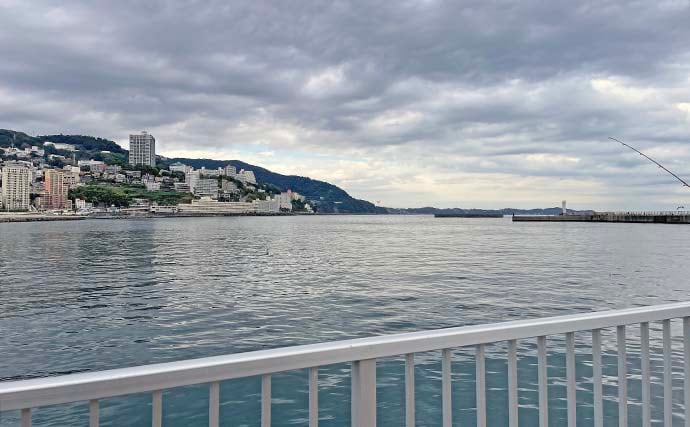 「渋い熱海港のサバを攻略！」サビキからフカセ釣りへの変更で連続ヒット【静岡】