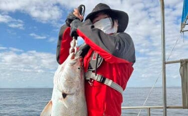 「ヒラメタックルが悲鳴」泳がせ釣りで104cm超オオニベを好捕！【山口・周防灘】