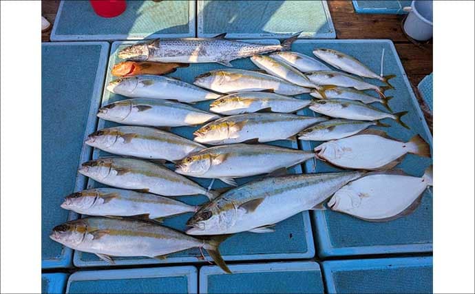 【沖釣り釣果速報】ヒラマサがデッキにズラリ！玄界灘の落とし込み釣りで青物続々ヒット（福岡）