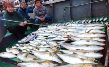 【沖釣り釣果速報】ヒラマサがデッキにズラリ!玄界灘の落とし込み釣りで青物続々ヒット(福岡)
