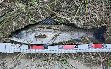 隣の人は釣れているのに自分だけが釣れない不思議　腕だけじゃない3つの理由とは？