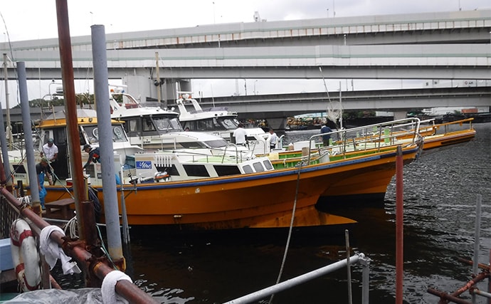 「東京湾バチコンアジングが面白い！」25cm級アジの入れ食いを堪能【渡辺釣船店】