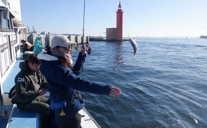 「東京湾バチコンアジングが面白い！」25cm級アジの入れ食いを堪能【渡辺釣船店】