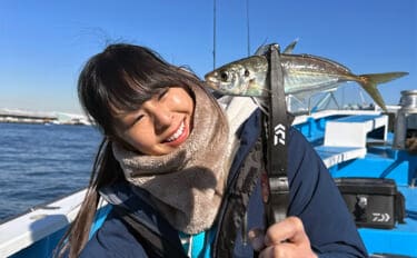 「東京湾バチコンアジングが面白い!」25cm級アジの入れ食いを堪能【渡辺釣船店】