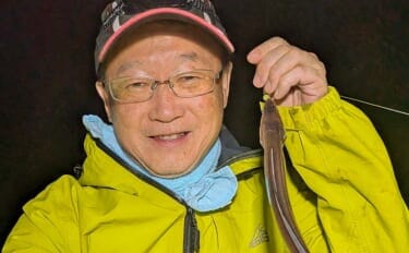 大野海岸周辺の夜投げ釣りでアナゴ5匹キャッチ【愛知】良型カサゴもヒット