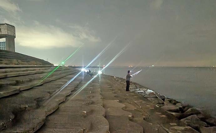 大野海岸周辺の夜投げ釣りでアナゴ5匹キャッチ【愛知】良型カサゴもヒット