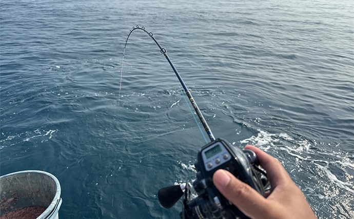 大原沖イサキ船でのシマアジ対応タックルを徹底解説 ターゲットサイズごと3セットの使い分け方とは?