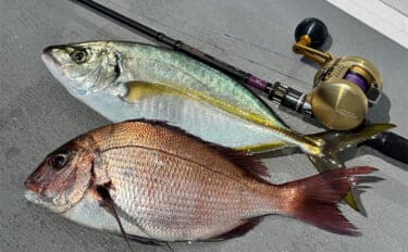 大原沖イサキ船でのシマアジ対応タックルを徹底解説 ターゲットサイズごと3セットの使い分け方とは?