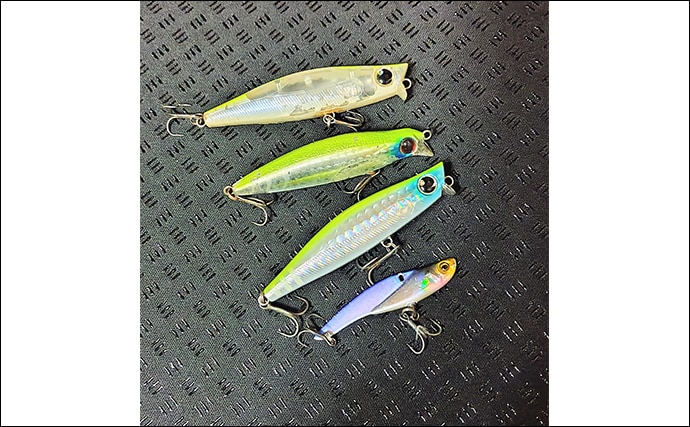 沈むルアー代表「シンキングミノー」は真冬こそ効果的！低活性時の使い方を解説