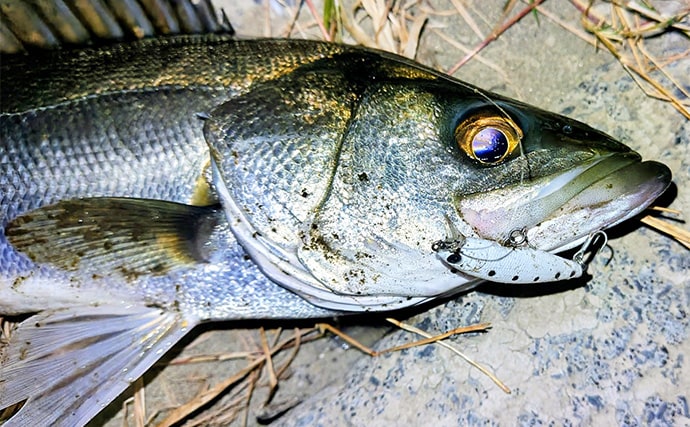 沈むルアー代表「シンキングミノー」は真冬こそ効果的！低活性時の使い方を解説