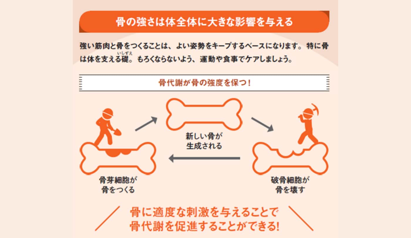 骨の強さは体全体に大きな影響を与える