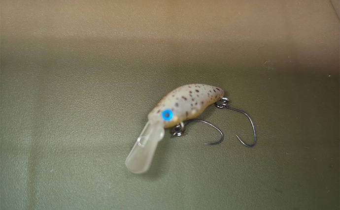 再オープン直後の『日本ラインマス釣り場』で終了間際に覚醒モード到来！【岐阜】