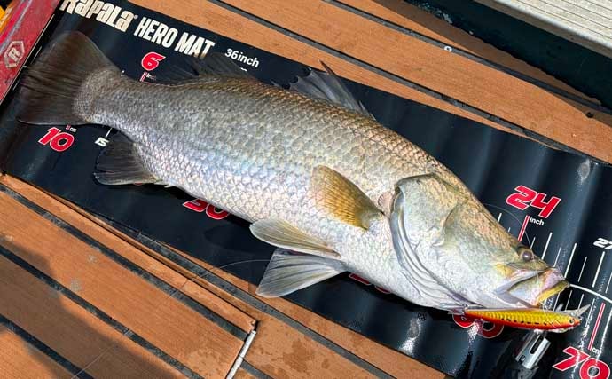 スリランカ遠征釣行でゴールドに輝く特別な『バラマンディ』を釣る！