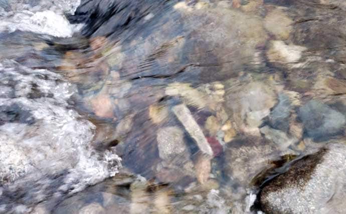 「渓流釣りのエサは季節で変わる！」 春～初夏に活躍する川虫3選を解説