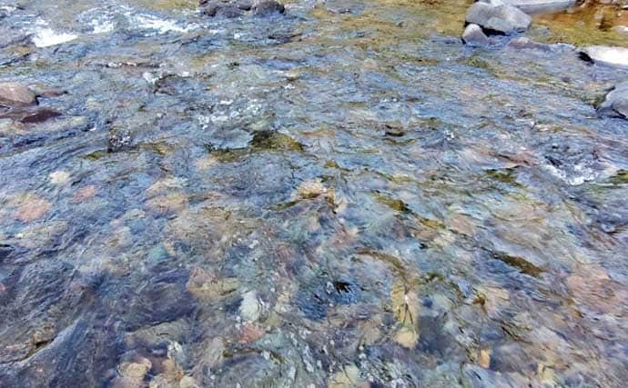 「渓流釣りのエサは季節で変わる！」 春～初夏に活躍する川虫3選を解説