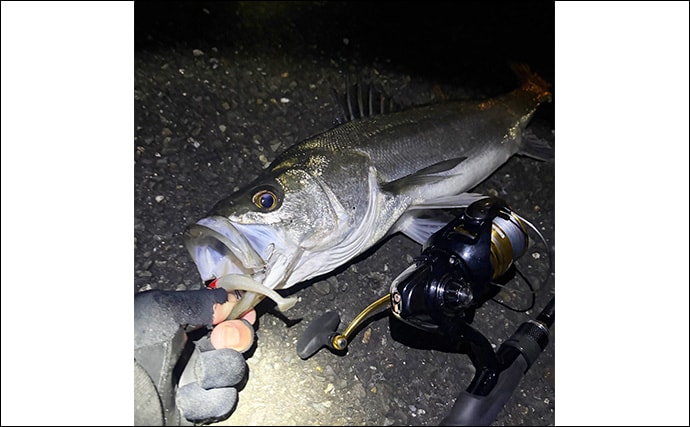 「厳冬期でも魚は釣れる？」 大阪湾沿岸の陸っぱり釣りの近況をまとめて紹介